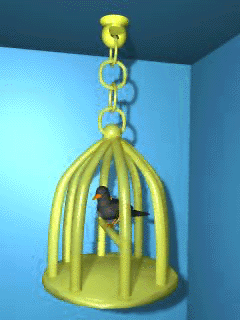 Mynah bird with cage