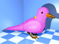 Hot Pink Mynah
